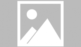 吃瓜有理爆料无罪免费观看,无罪免费，揭秘娱乐圈幕后真相